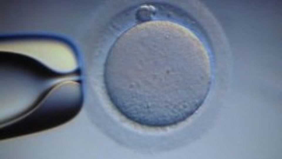 Conceperea unui copil nu e un lucru uşor