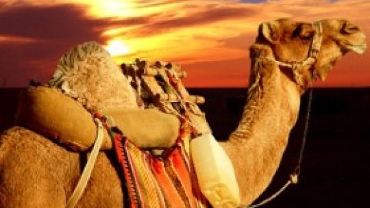 Colţul Copiilor - Oamenii din Africa: de la cald la frig
