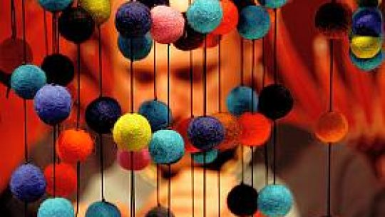 Produsele cu Nichita Stănescu