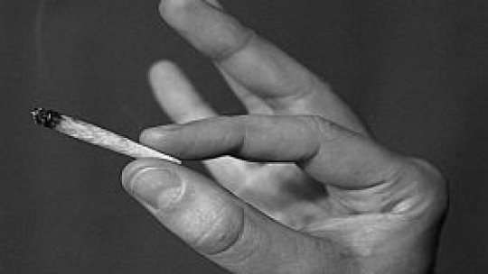 Anchetă la magazinele cu "droguri legale"