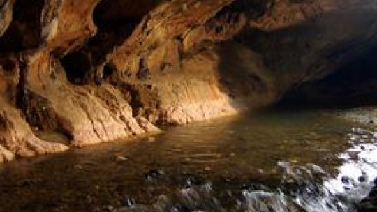 Care mai de care - 19 decembrie 2009