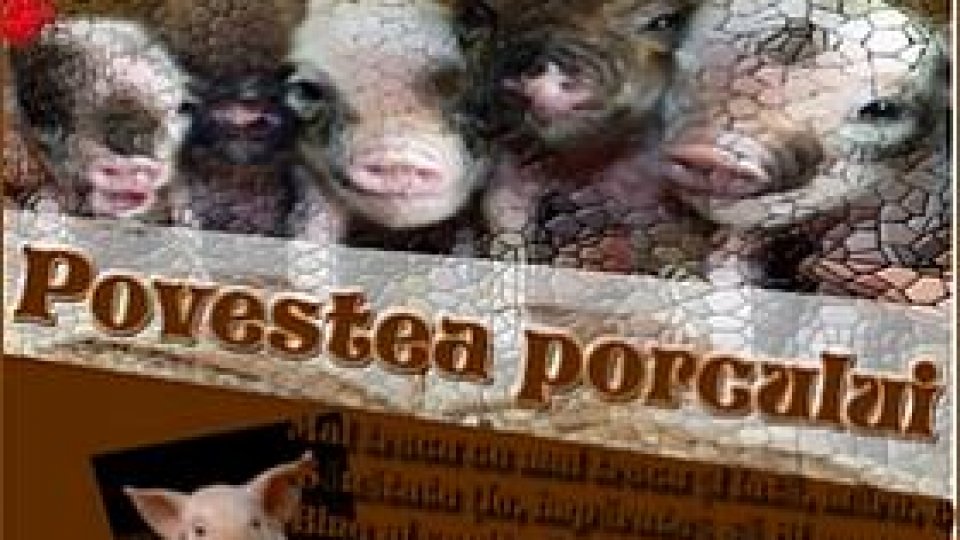 Povestea porcului