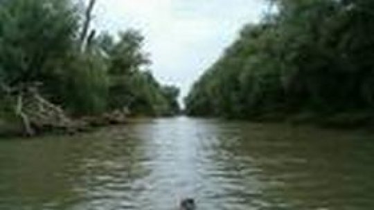 „Apa otravită - boala misterioasă din Câmpia Dunarii”