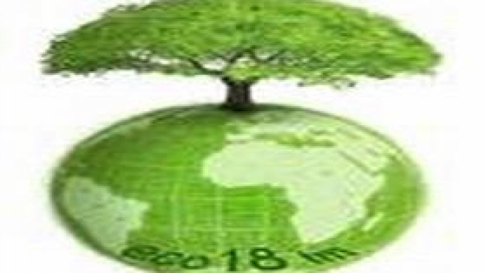 Criza pe fond verde