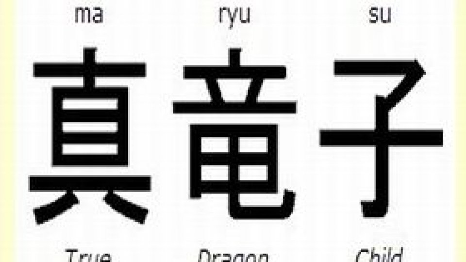 Burse de studiu în China pentru studenţii din Alba-Iulia