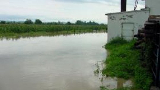 Maramureş: Locuinţe inundate şi alunecãri de teren în urma furtunii