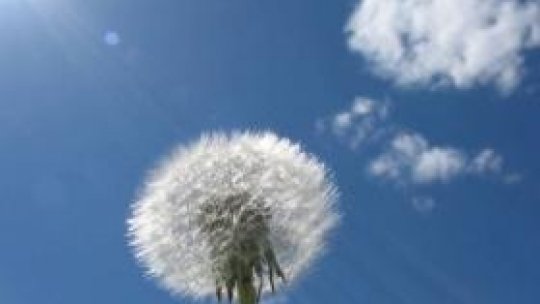 Lacul din Noua va fi redeschis braşovenilor