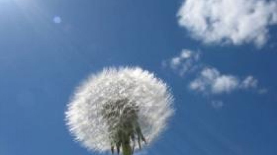 Lacul din Noua va fi redeschis braşovenilor