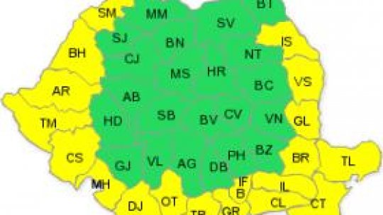 Cod galben de caniculă