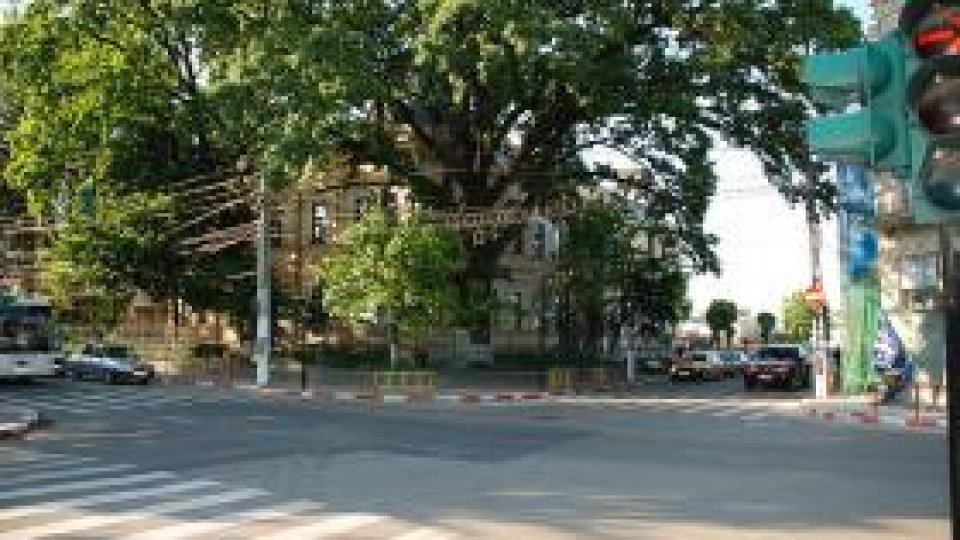 Călăraşi