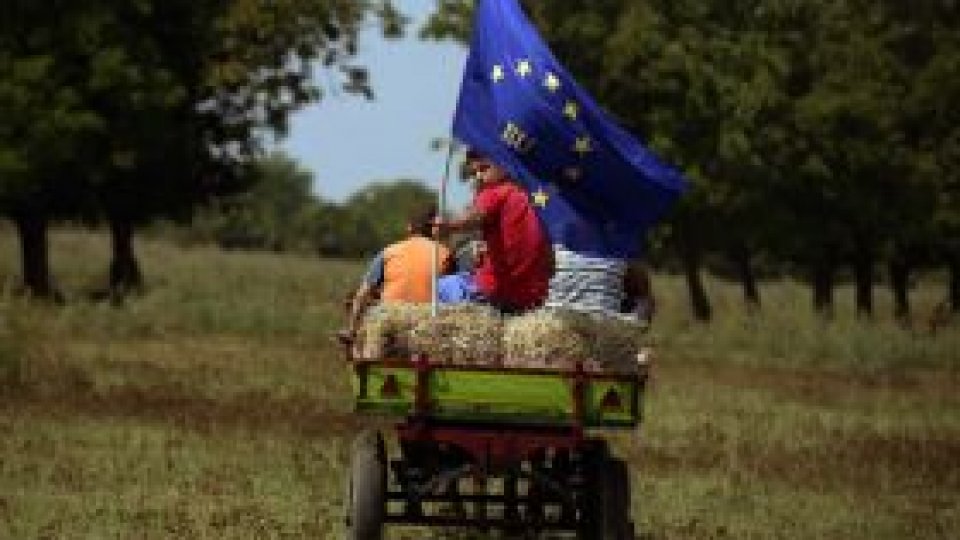 Agenţia SAPARD din Bulgaria, verificată