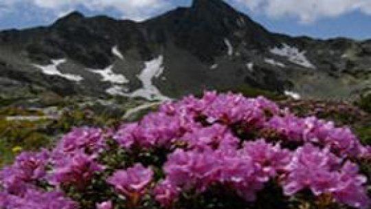 Parcul Retezat: o nouă minune a lumii?