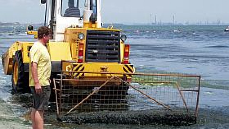 Turism cu program redus