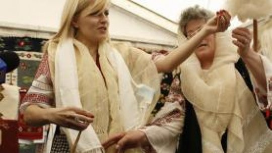 Lucrările Comisiei Udrea stagnează