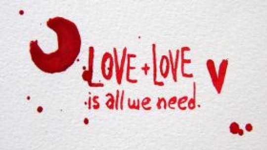 Descoperirea sufletului pereche - un calcul matematic?