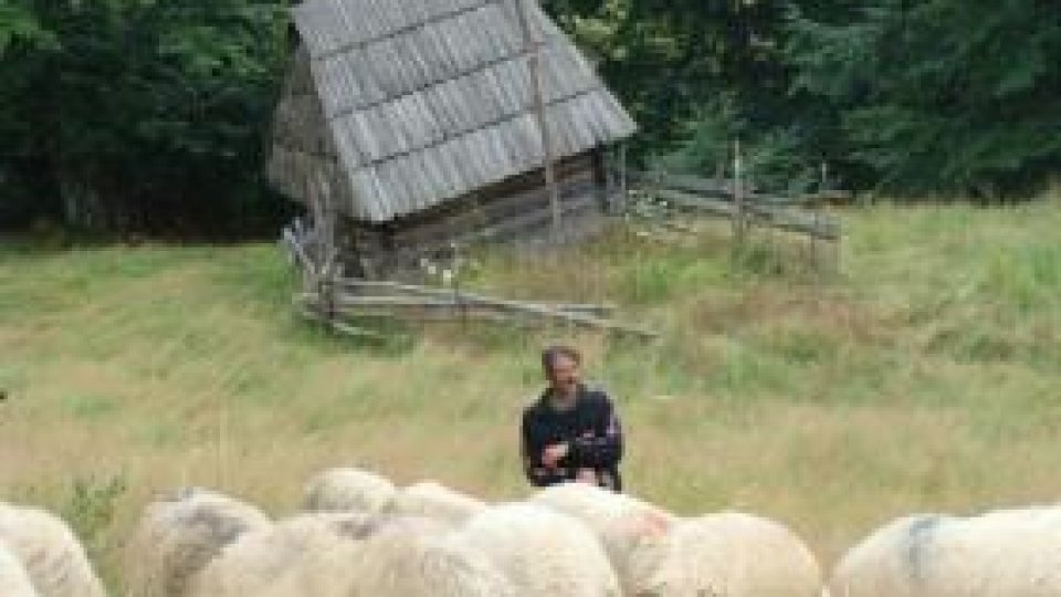 Momârlanii - comunitatea neştiută a Apusenilor