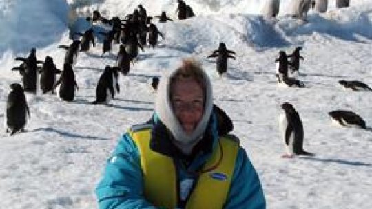 Care mai de care - 28 martie 2009