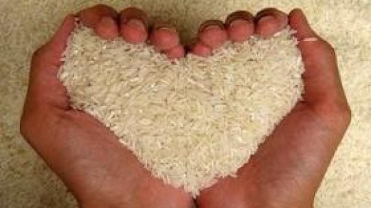 Atenţie la ce orez cumperi din magazin