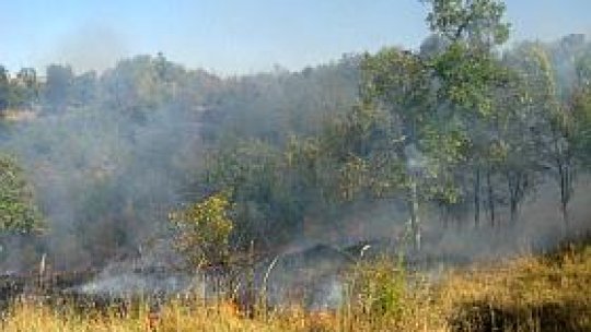 Incendii devastatoare în apropiere de Los Angeles