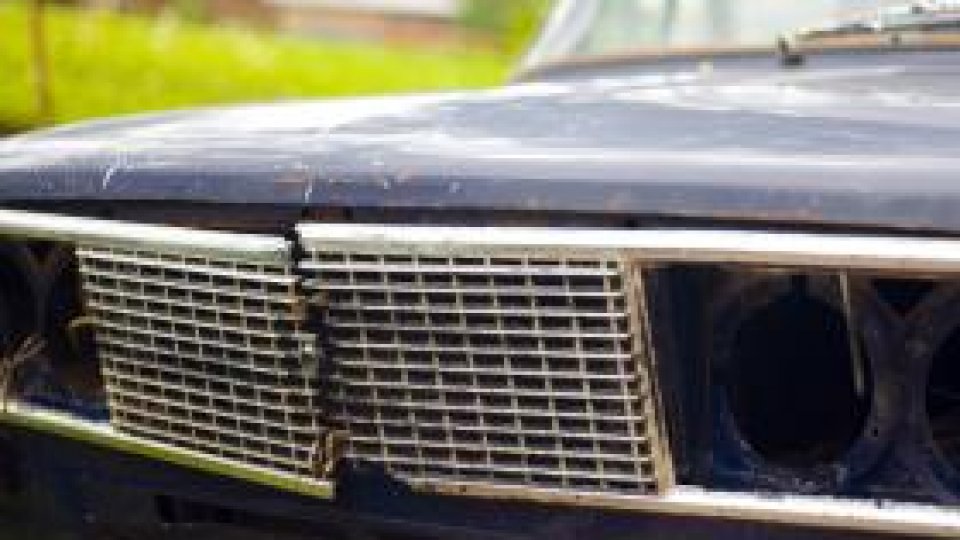 50.000 de "rable" vândute din Germania în Europa de Est şi Africa