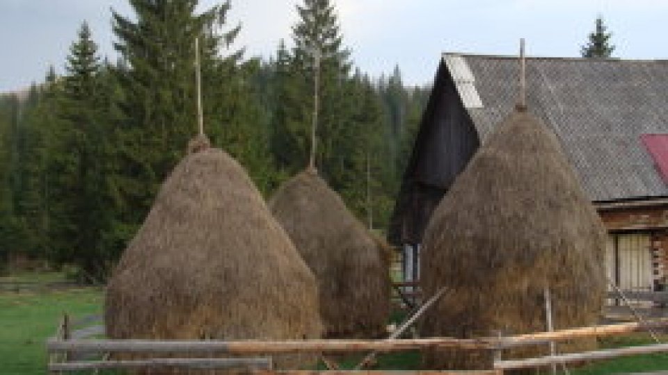 Poveşti nespuse din Apuseni