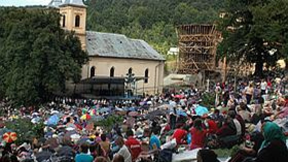 Referendum anti-cipuri, simultan cu prezidenţialele?