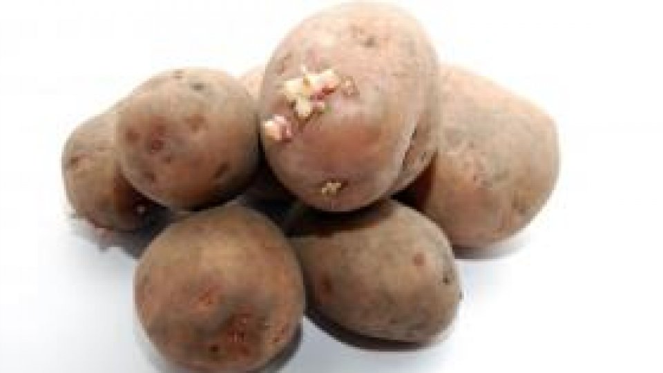 Preţurile la alimente "vor scădea"