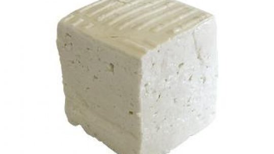 Ce este brânza eco (logică)?