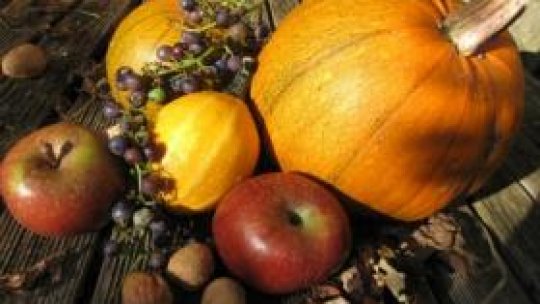 Urşii dau buzna după mâncare