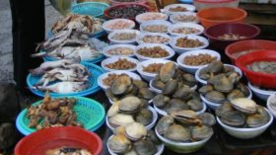 Muncă şi distracţie în Coreea