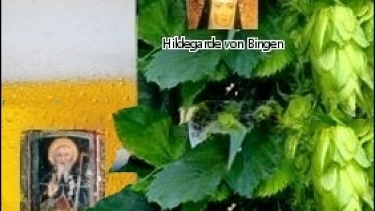 O bere pentru calul meu