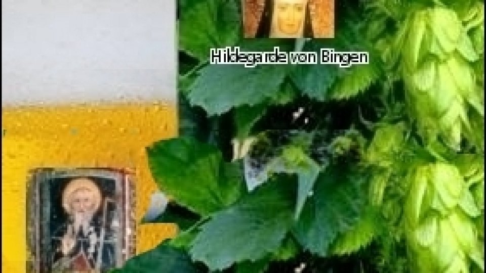 O bere pentru calul meu