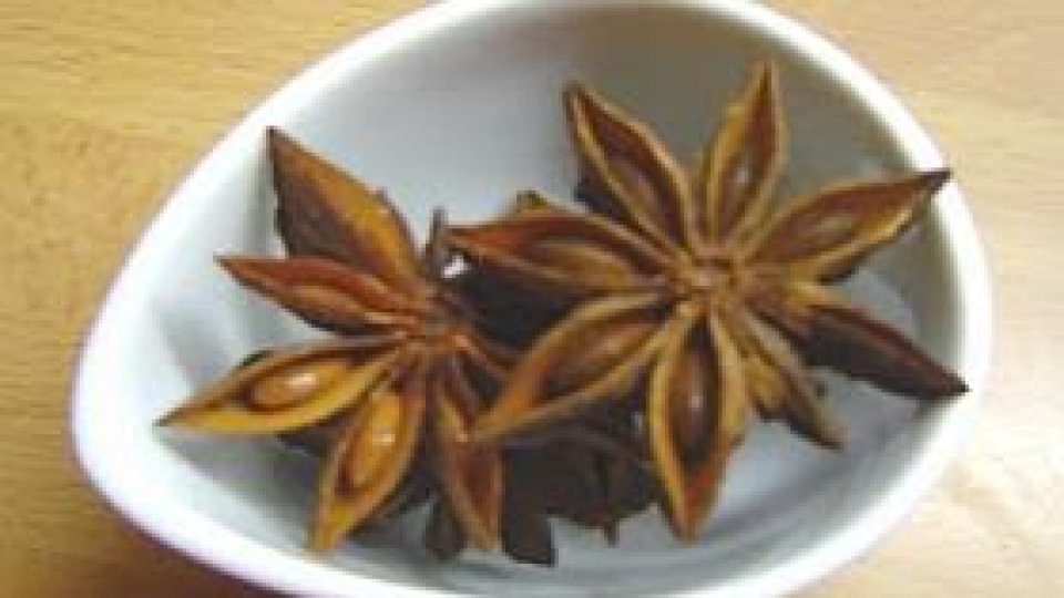 Anasonul stelat sau adevărata seducţie