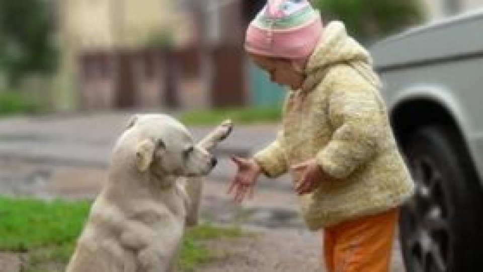 Colţul Copiilor - Câinele care vorbeşte