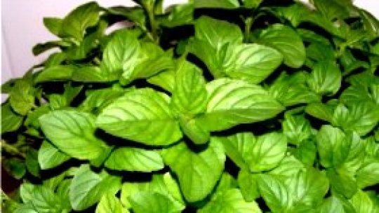 Pasionată de sănătate