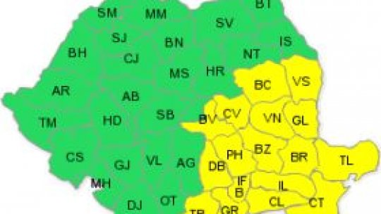 Cod galben de ninsori şi vânt