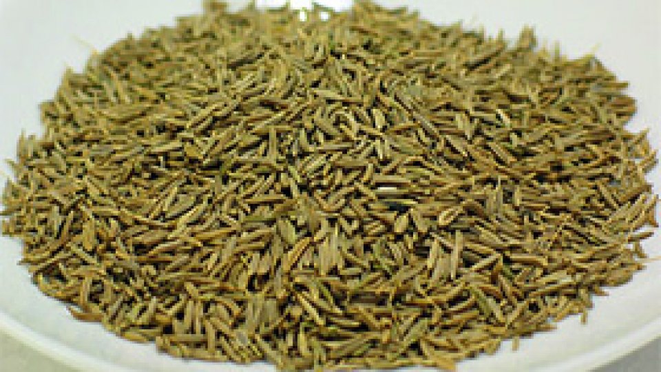 Chimionul sau chimenul sălbatic – ajutorul stomacului