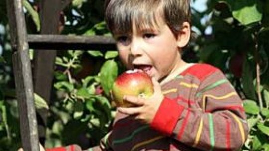 Colţul Copiilor - Andrei şi afacerea cu mere