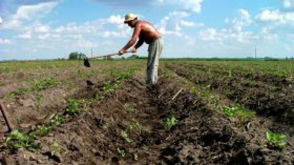 Fonduri europene pentru agricultura românească