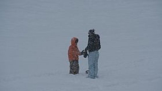 Cod portocaliu de ger