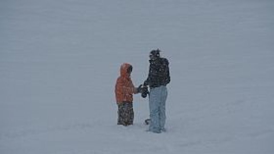 Cod portocaliu de ger