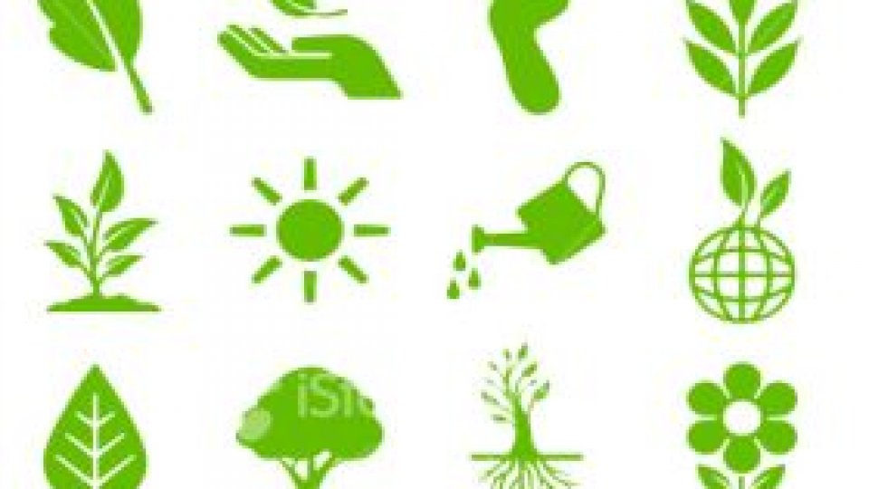 Filme cu tematică ecologică prezentate la Sibiu