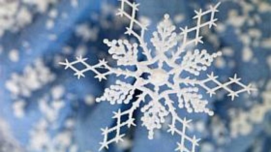 Cele mai vechi fotografii cu fulgi de zăpadă, la licitaţie