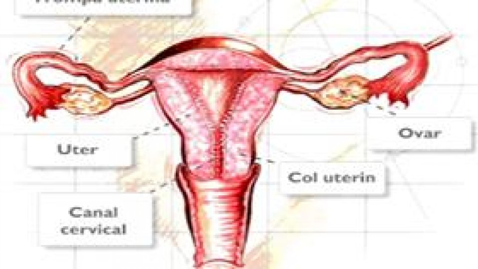 Săptămâna Europeană de Prevenire a Cancerului de Col Uterin