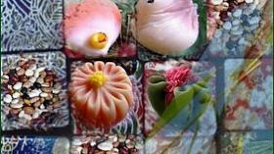 Misterul din bobul de fasole