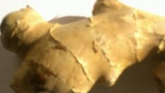 Ghimbirul - rădăcina care face inimile să înflorească