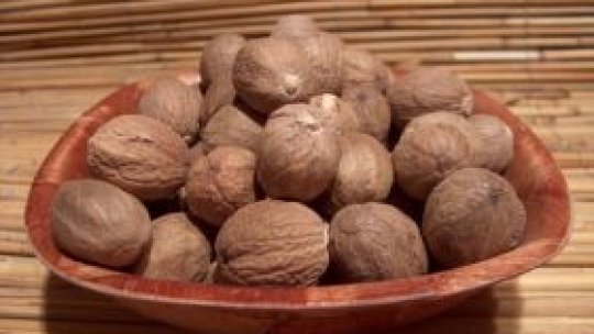 Nucşoara sau nuca de Mosc