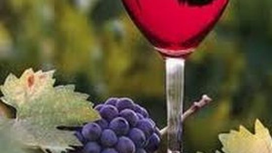 Festivalului vinului şi al tradiţiilor de toamnă în Piteşti