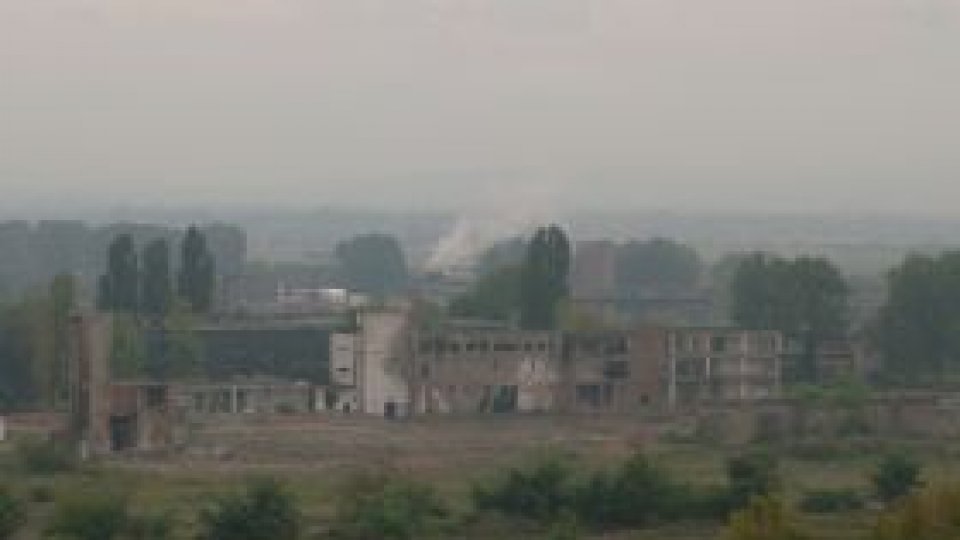 Exerciţiu de supravieţuire