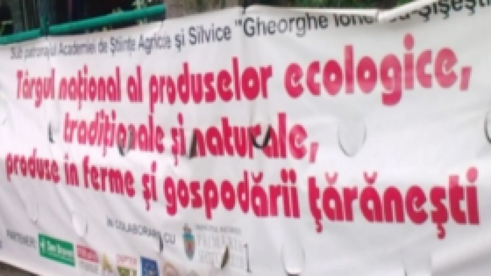 Simfonia bucătăriei